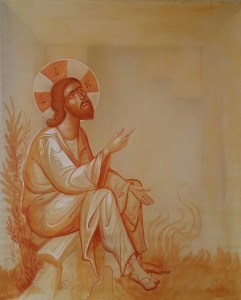 10570291_10208586285715810_7225585987253299983_n