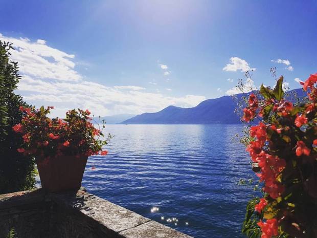 14051755_10207163138702504_3365360538969094036_n